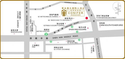 Conifer International Hotel Шэньчжэнь Удобства фото